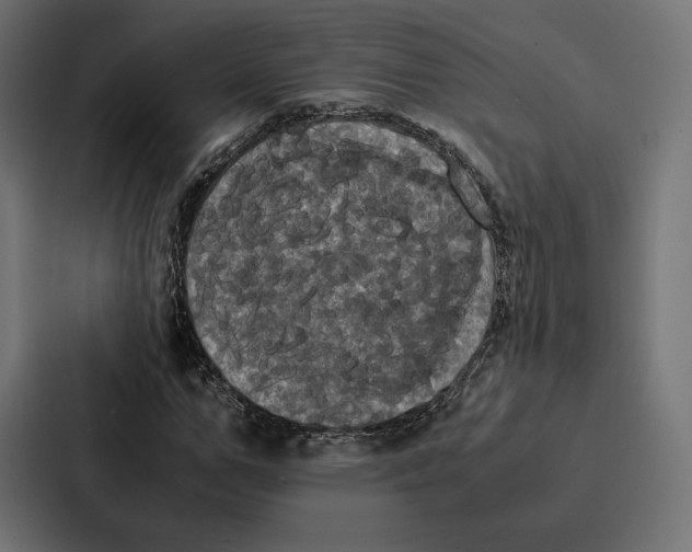 X0000086790967200705111812