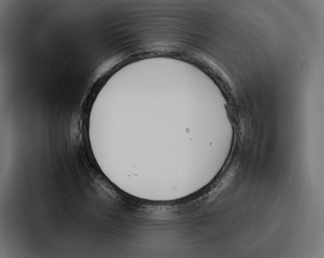 X0000086790970200705111812