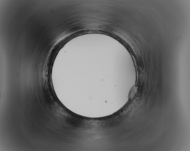 X0000086790971200705111812