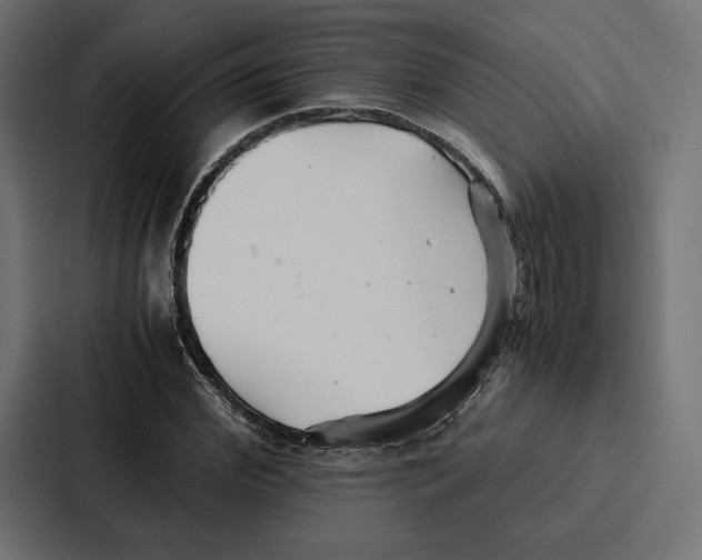 X0000086790972200705111812