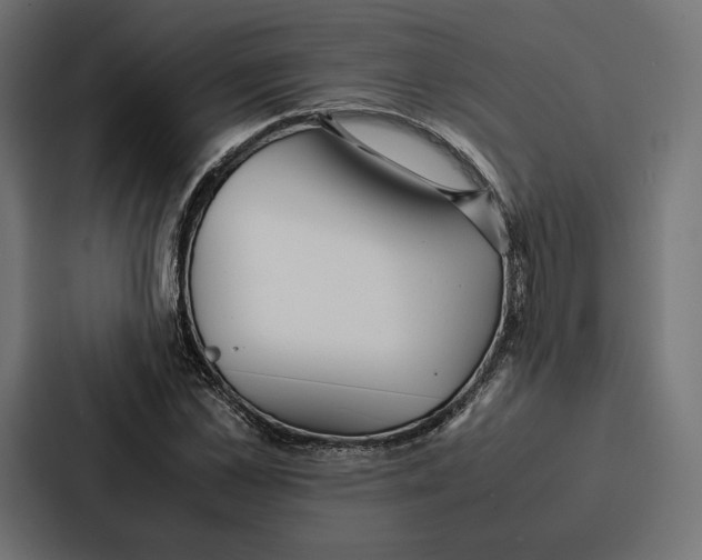 X0000086790973200705111812