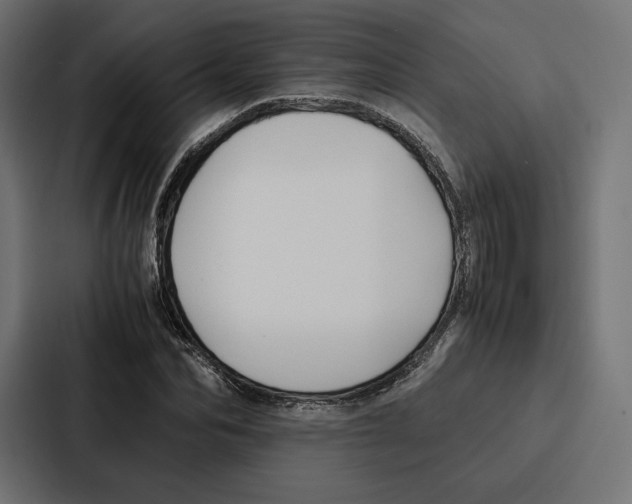 X0000086790974200705111812