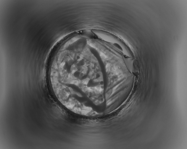 X0000086790975200705111812