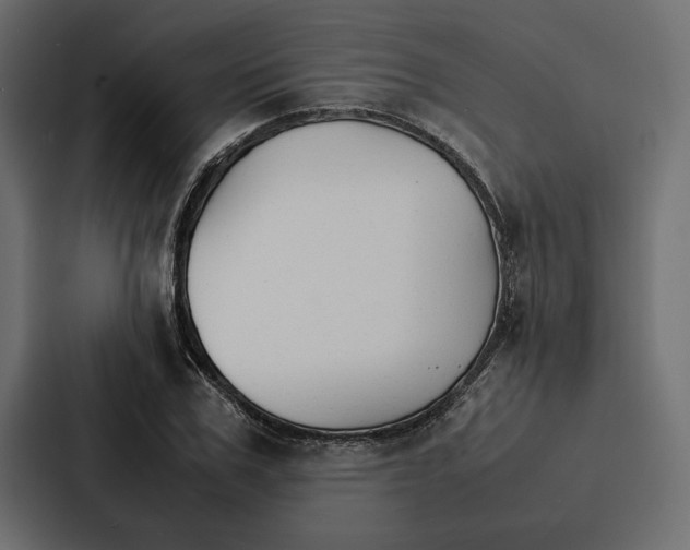 X0000086790979200705111812