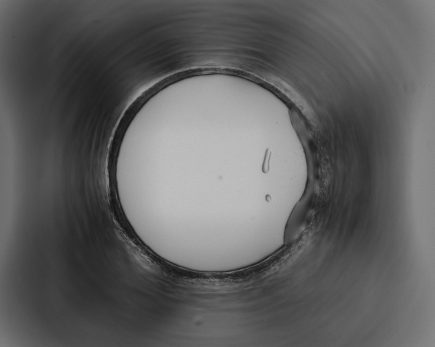 X0000086790980200705111812