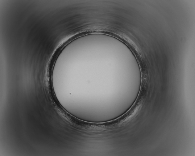 X0000086790981200705111812