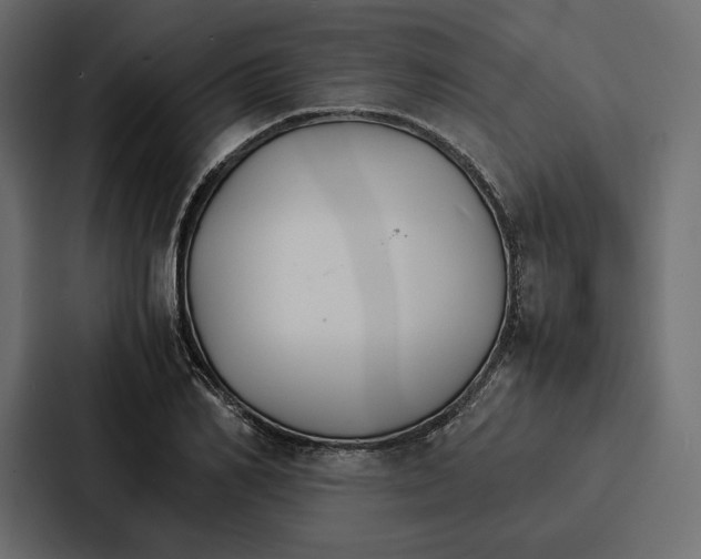 X0000086790982200705111812