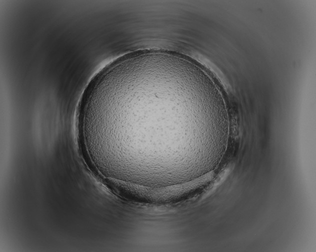 X0000086790983200705111812