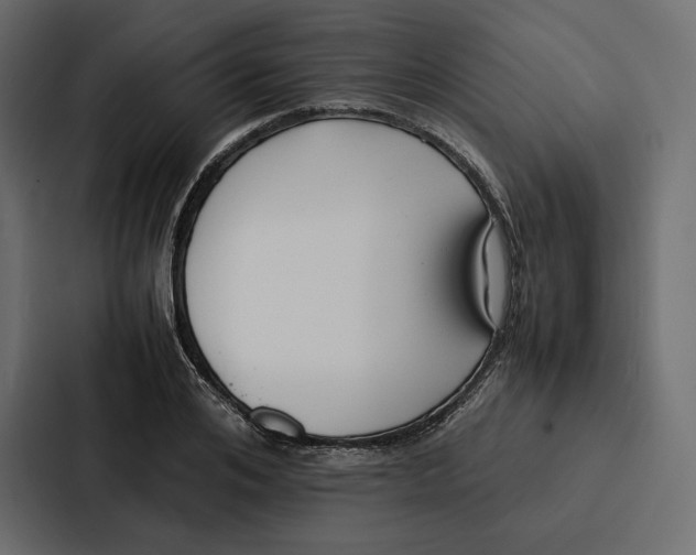 X0000086790984200705111812