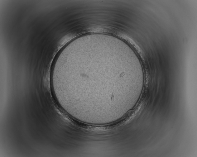 X0000086790986200705111812