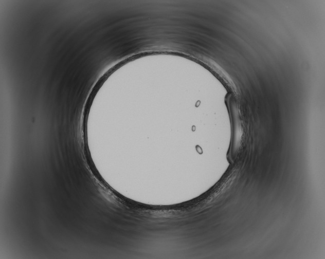 X0000086790988200705111812