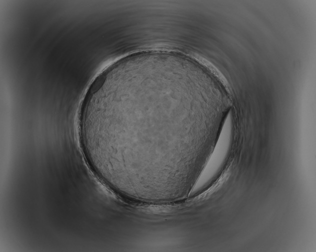 X0000086790989200705111812