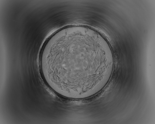 X0000086790990200705111812