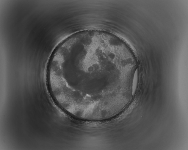 X0000086790991200705111812