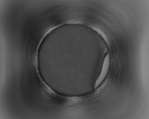 X0000086790992200705111812