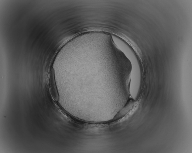 X0000086790993200705111812