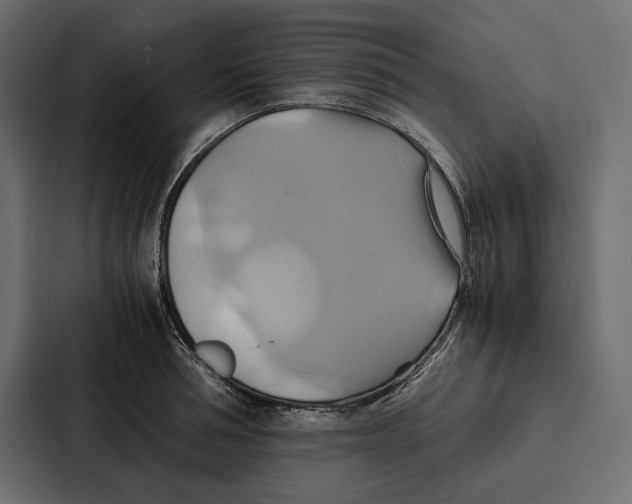 X0000086790994200705111812