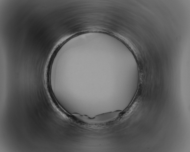 X0000086790995200705111812