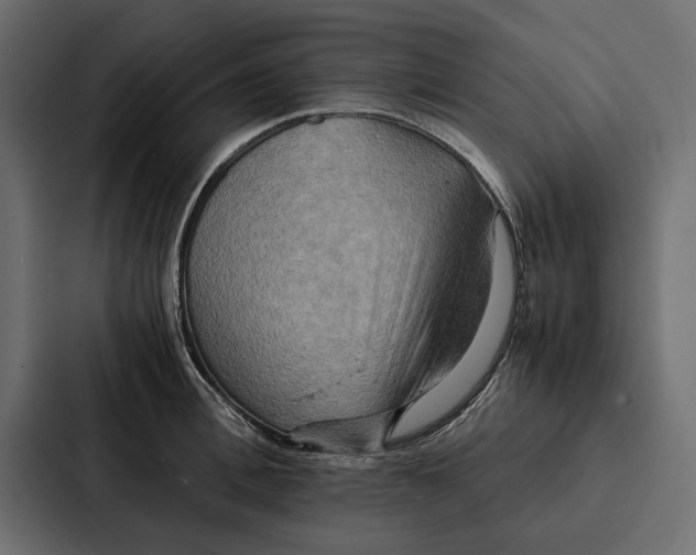 X0000086790996200705111812