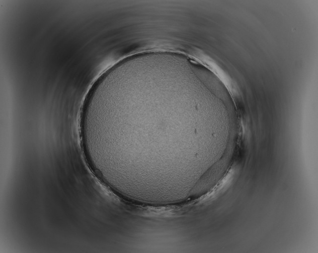 X0000086790997200705111811