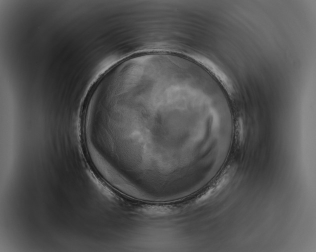 X0000086790998200705111811