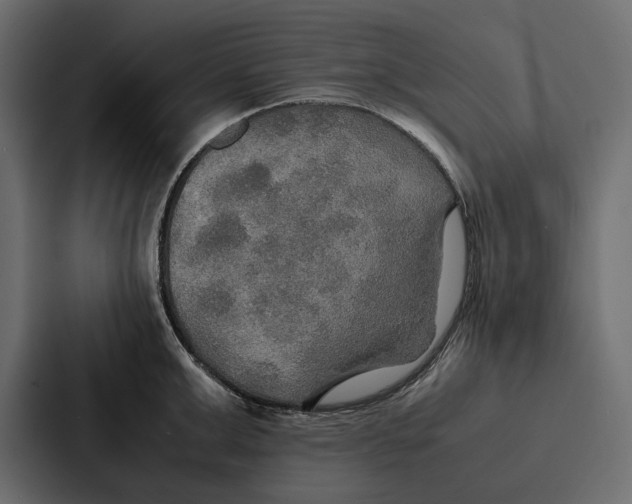 X0000086790999200705111811