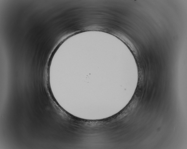 X0000086791000200705111811