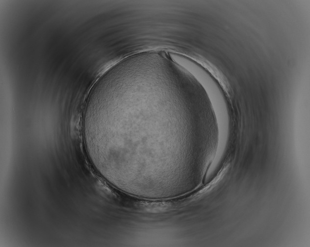 X0000086791001200705111811