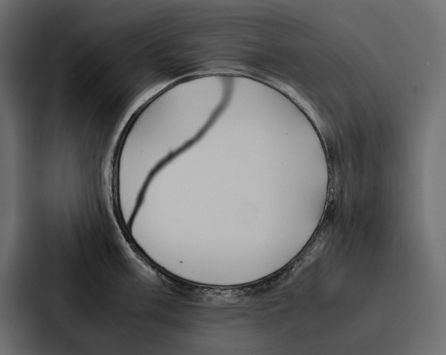 X0000086791003200705111811