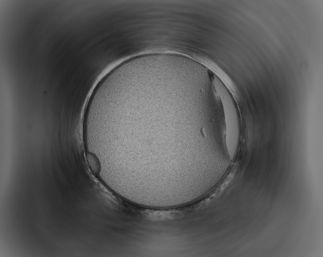 X0000086791004200705111811