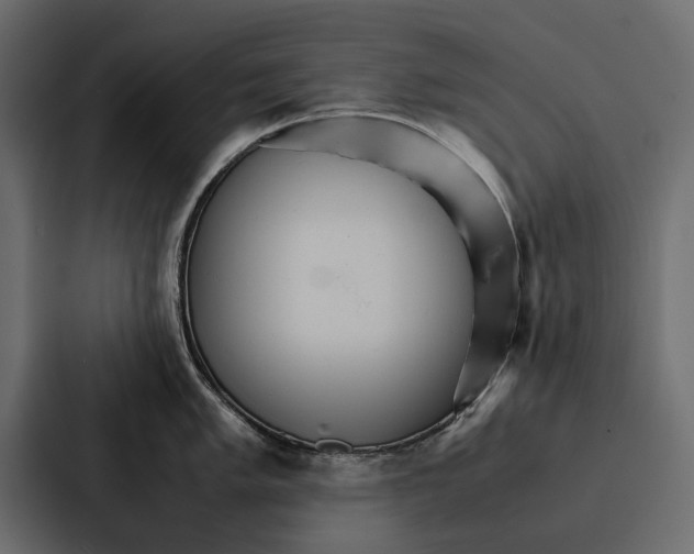 X0000086791005200705111811