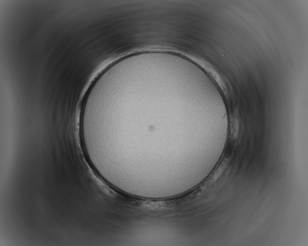 X0000086791006200705111811