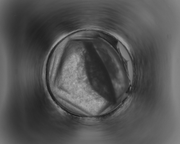 X0000086791007200705111811