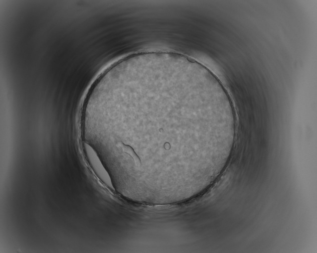 X0000086791008200705111811