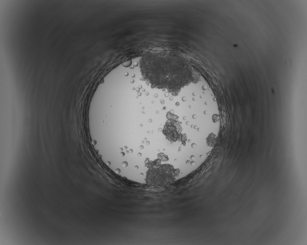 X0000086791009200705111811