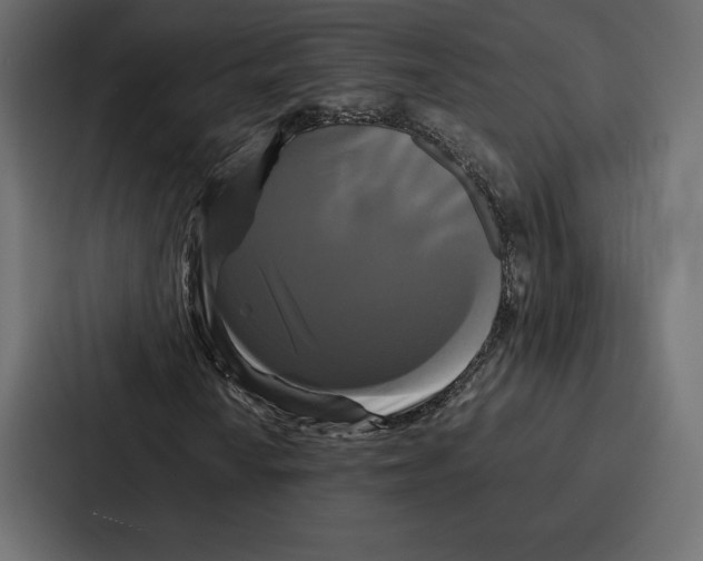 X0000086791010200705111811