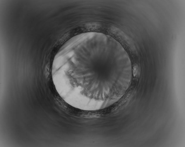 X0000086791011200705111811