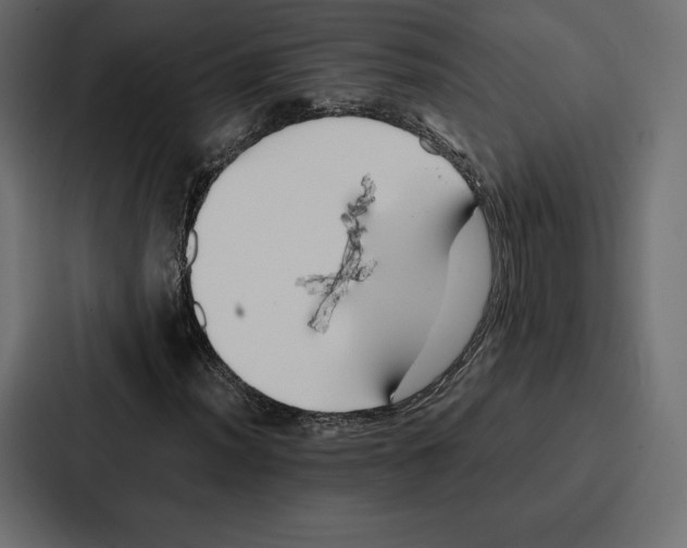 X0000086791012200705111811