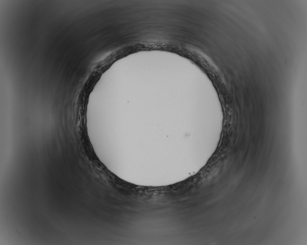 X0000086791016200705111811