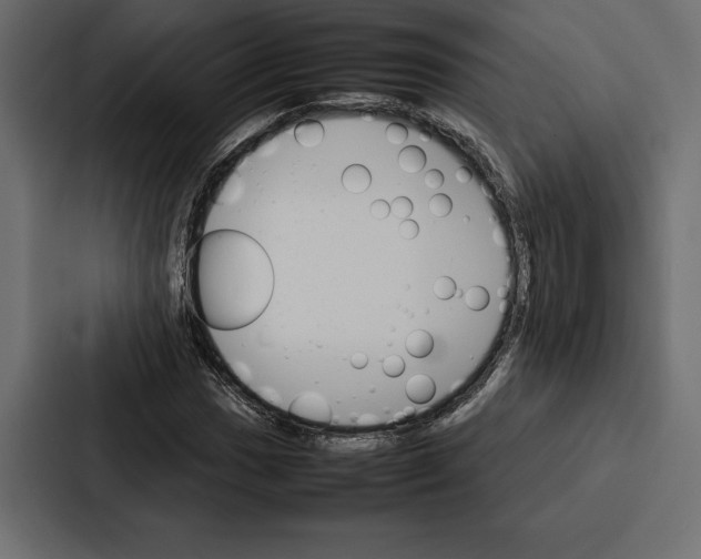 X0000086791017200705111811