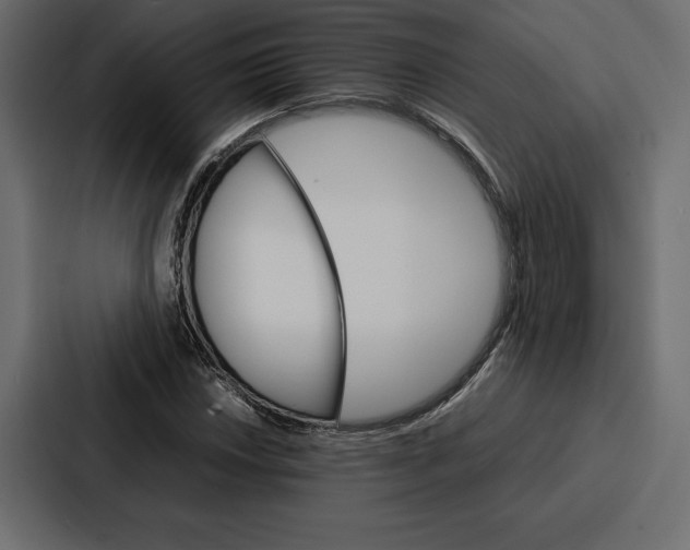 X0000086791018200705111811