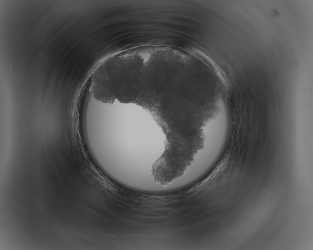 X0000086791019200705111811