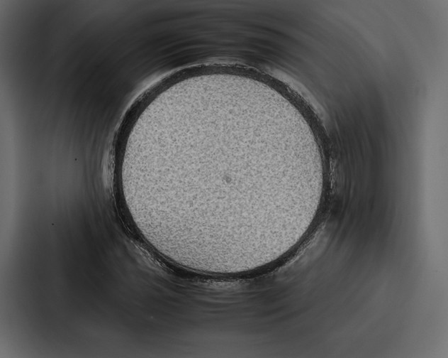 X0000086791021200705111811