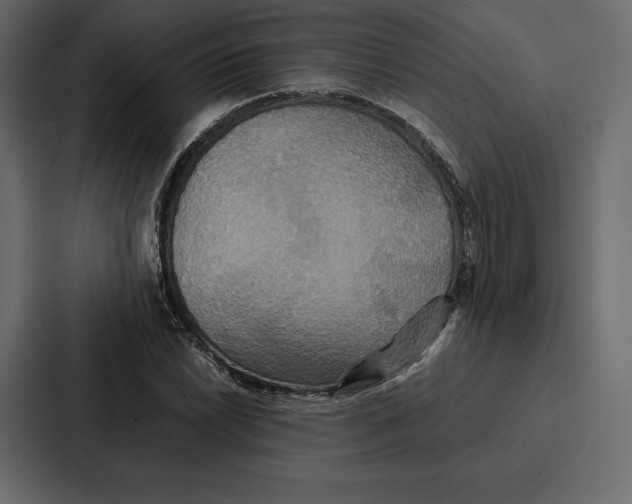 X0000086791022200705111811