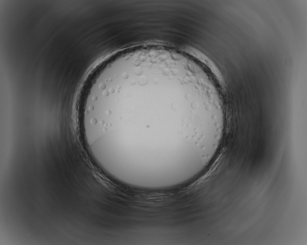 X0000086791027200705111811