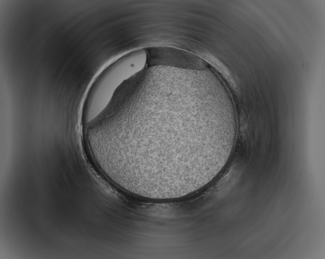 X0000086791028200705111811