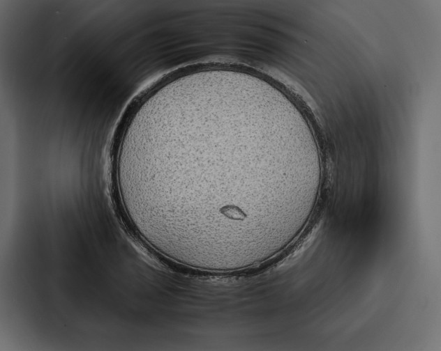 X0000086791029200705111811