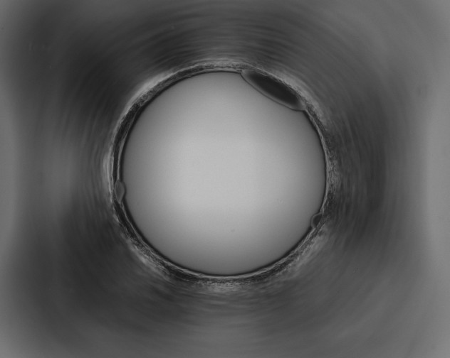 X0000086791030200705111811