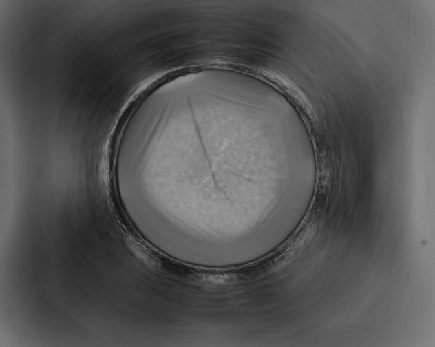 X0000086791031200705111811