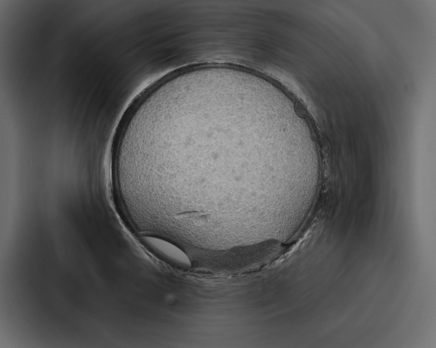 X0000086791032200705111811